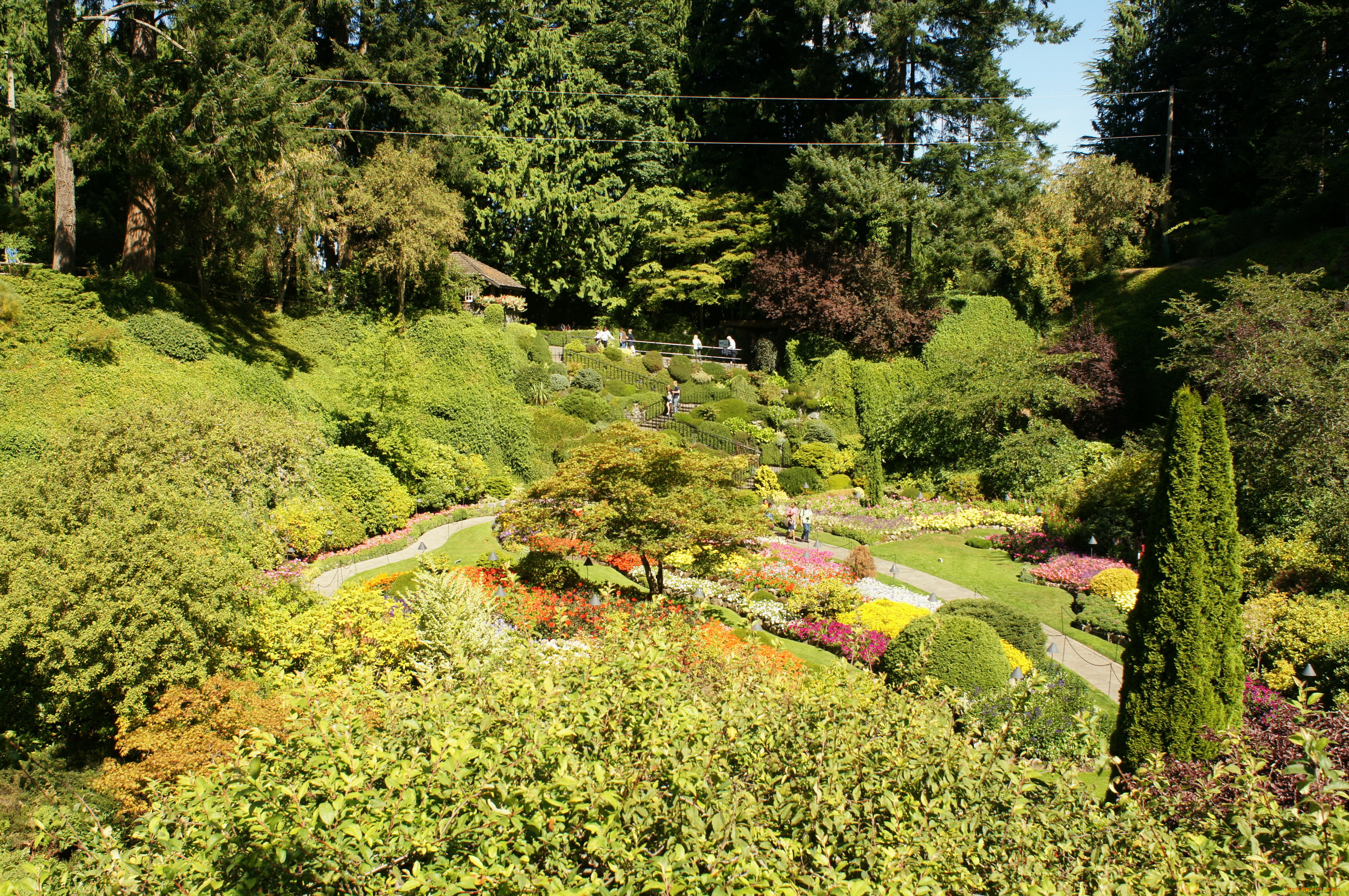 butchart, gardens, victoria, , , , , 